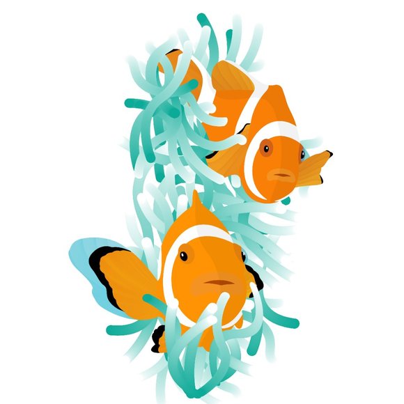 The Clownfish - Picture 2 of 2